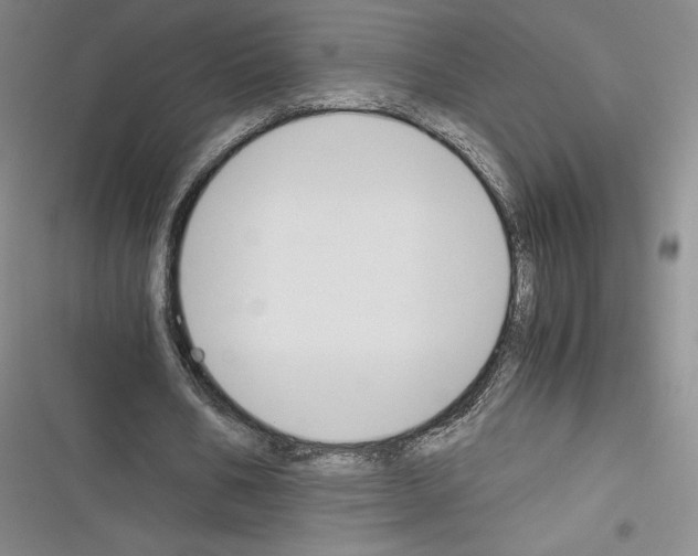 X0000116270578201001111016