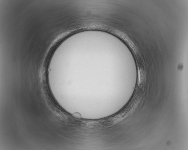 X0000116270579201001111016