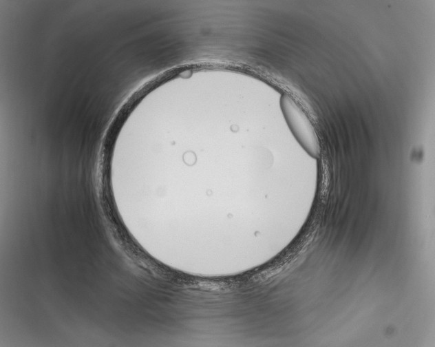 X0000116270580201001111016