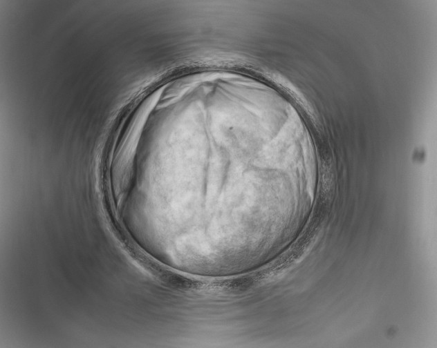 X0000116270581201001111016