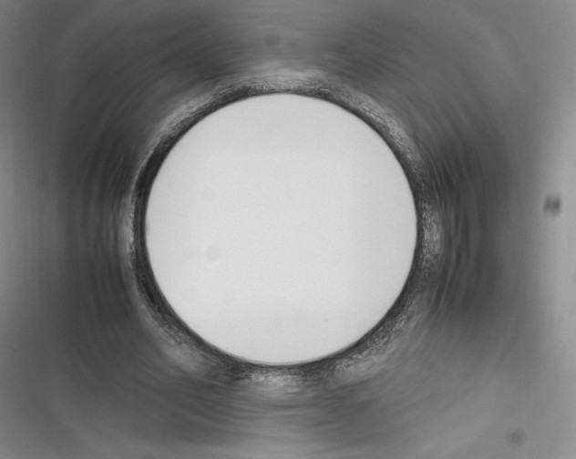 X0000116270582201001111016