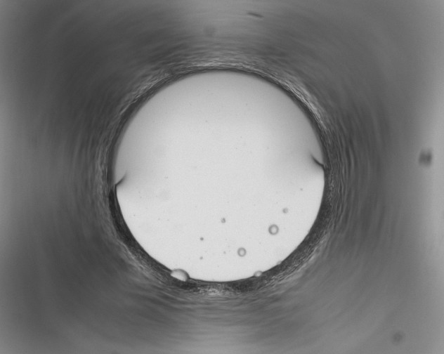 X0000116270585201001111016