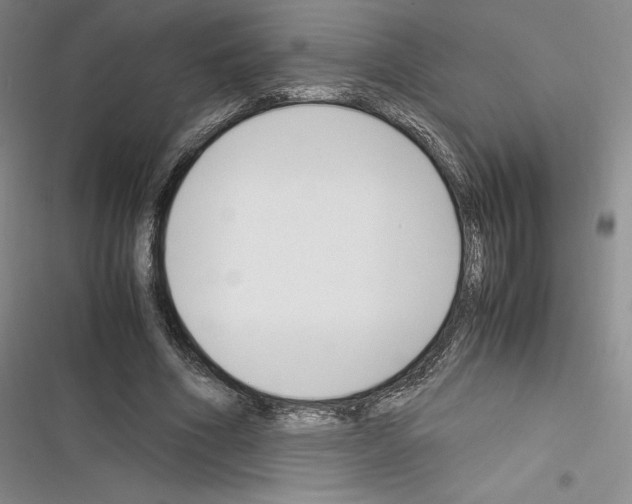 X0000116270586201001111016