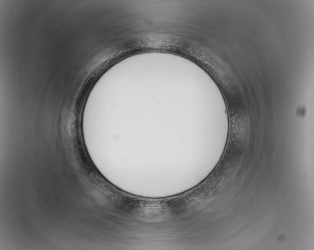X0000116270587201001111016