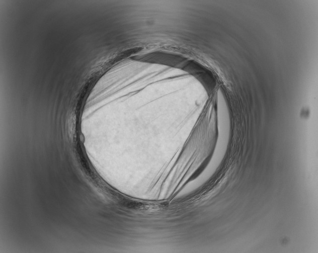 X0000116270589201001111016