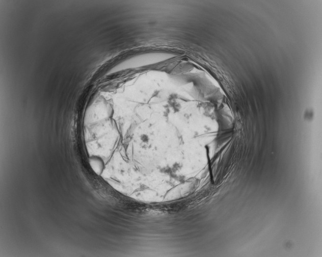 X0000116270592201001111016