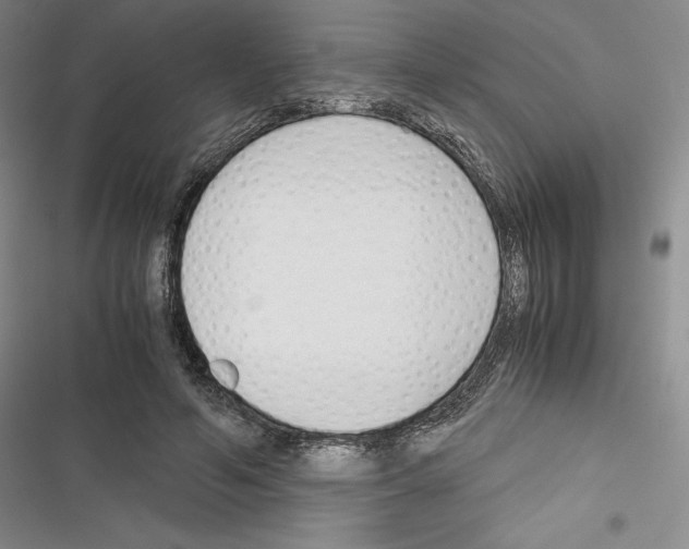 X0000116270594201001111016