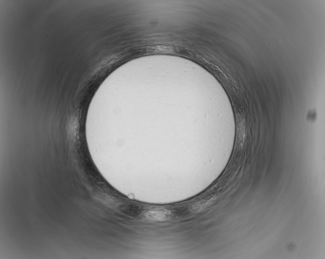 X0000116270595201001111016