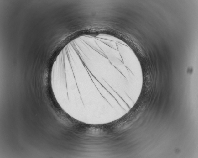 X0000116270596201001111016