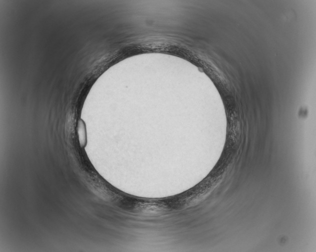 X0000116270597201001111016