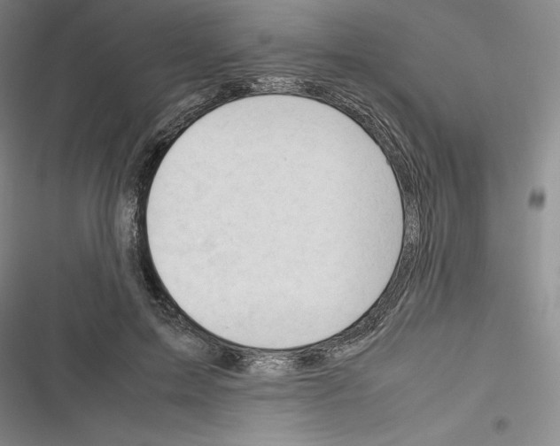X0000116270599201001111016