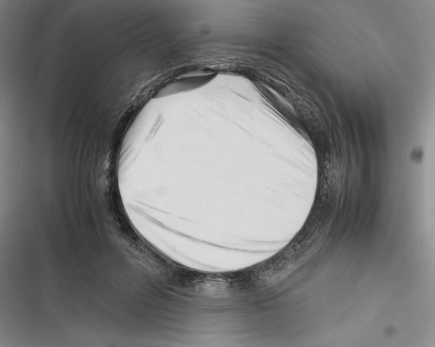 X0000116270600201001111016