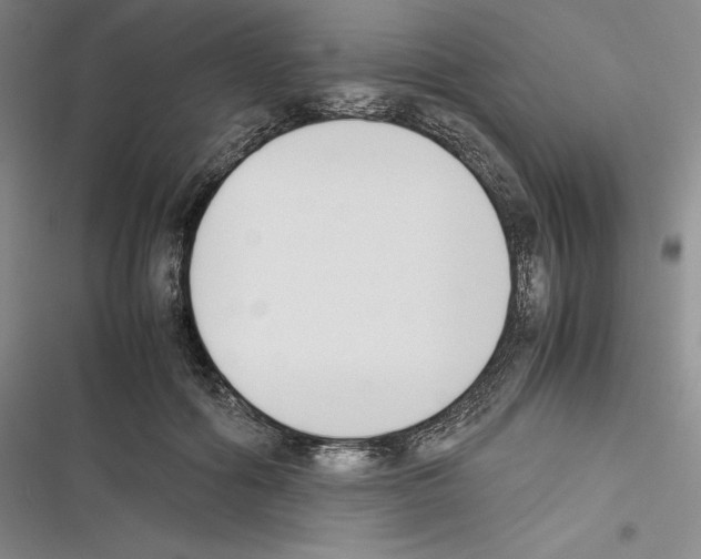 X0000116270602201001111016