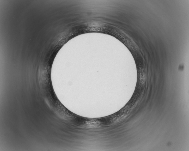 X0000116270603201001111016