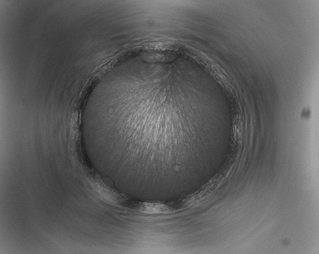 X0000116270605201001111016