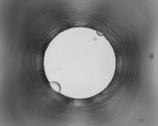 X0000116270608201001111016