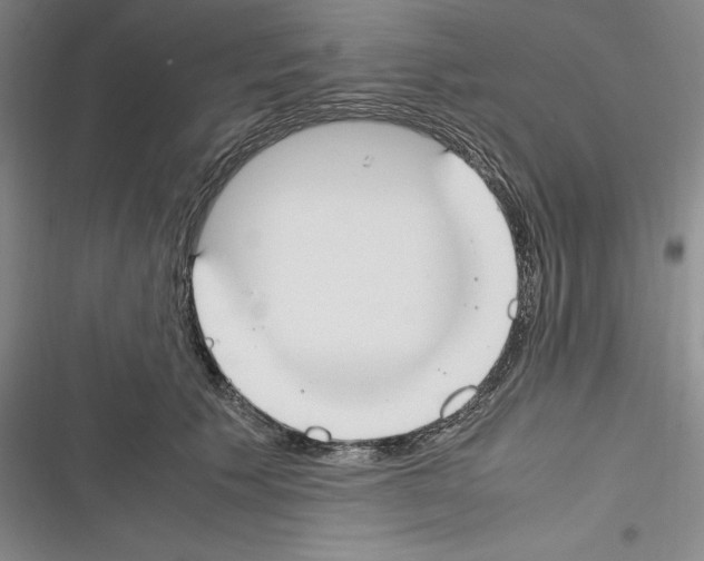 X0000116270609201001111016
