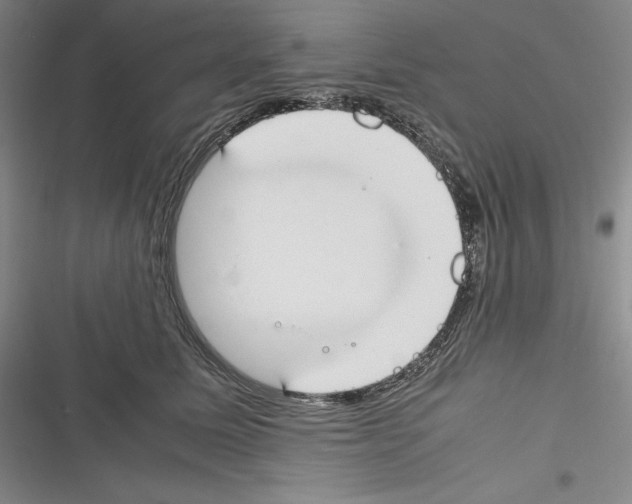 X0000116270611201001111016