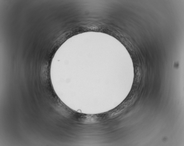 X0000116270612201001111016