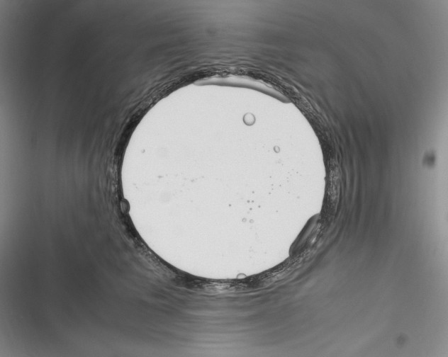 X0000116270613201001111016