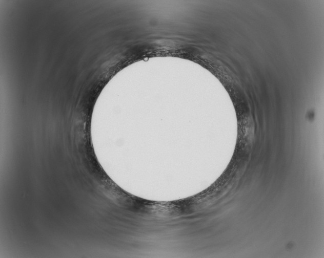 X0000116270615201001111016