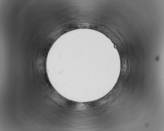 X0000116270616201001111016