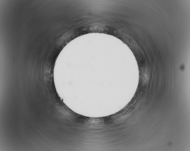 X0000116270619201001111016