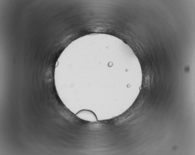 X0000116270620201001111016