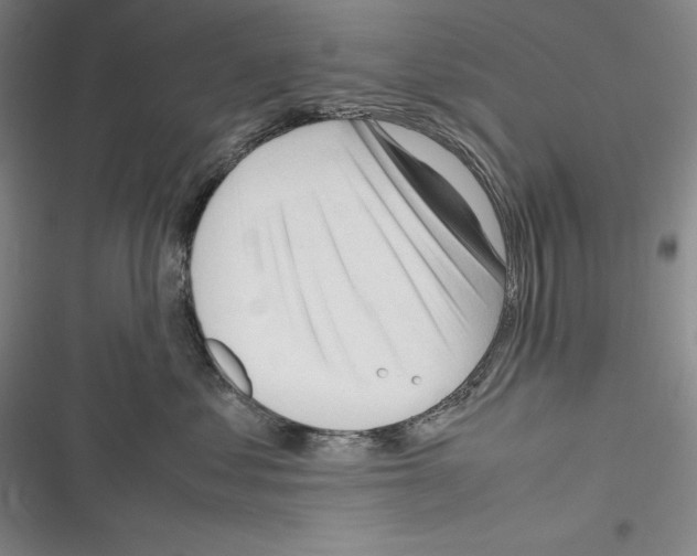 X0000116270621201001111016