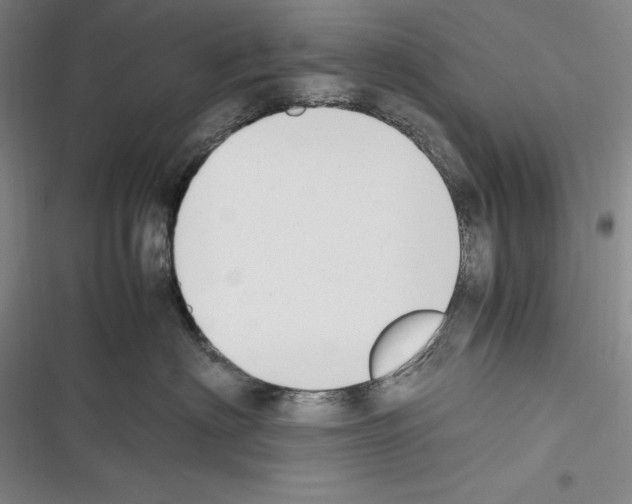 X0000116270622201001111016