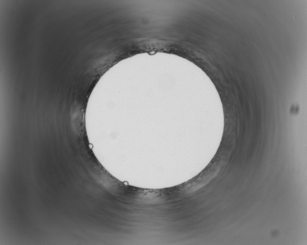 X0000116270624201001111015