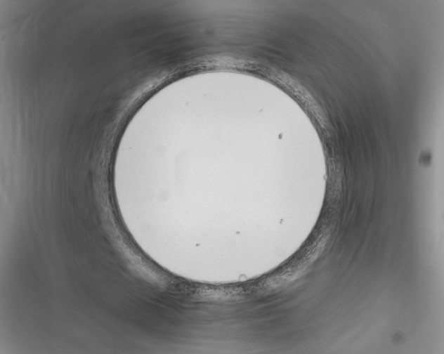 X0000116270625201001111015