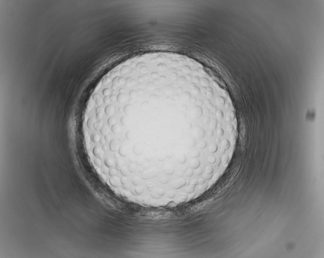 X0000116270626201001111015