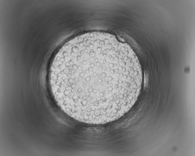 X0000116270627201001111015