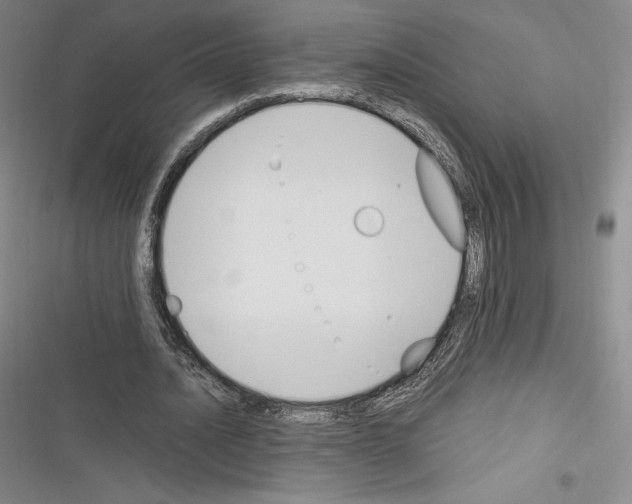 X0000116270628201001111015