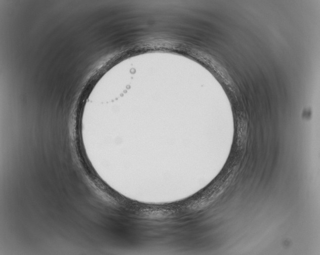 X0000116270629201001111015