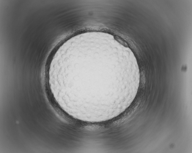 X0000116270630201001111015