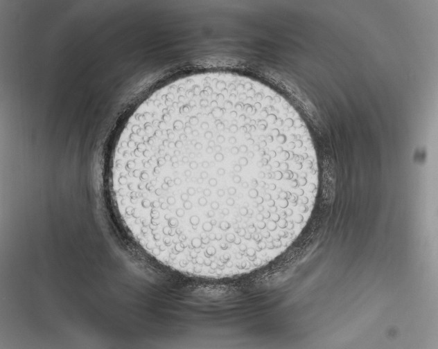 X0000116270631201001111015
