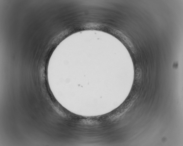 X0000116270633201001111015