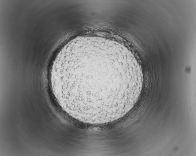 X0000116270634201001111015