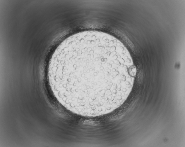 X0000116270635201001111015