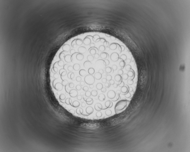 X0000116270639201001111015