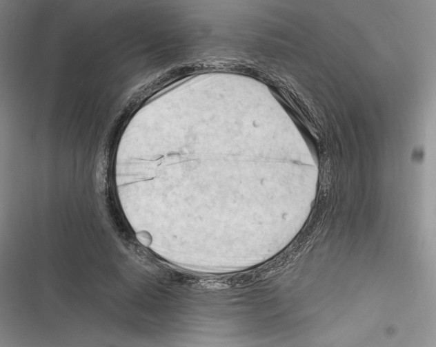 X0000116270640201001111015