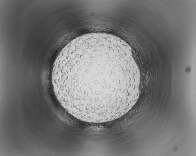 X0000116270642201001111015