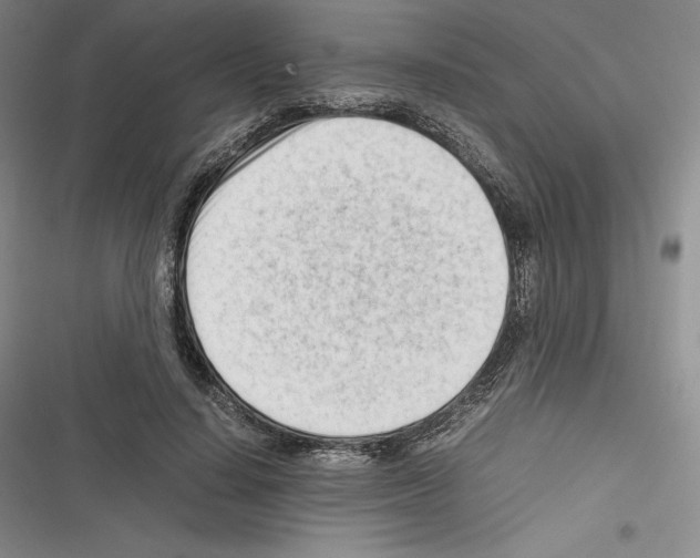 X0000116270644201001111015