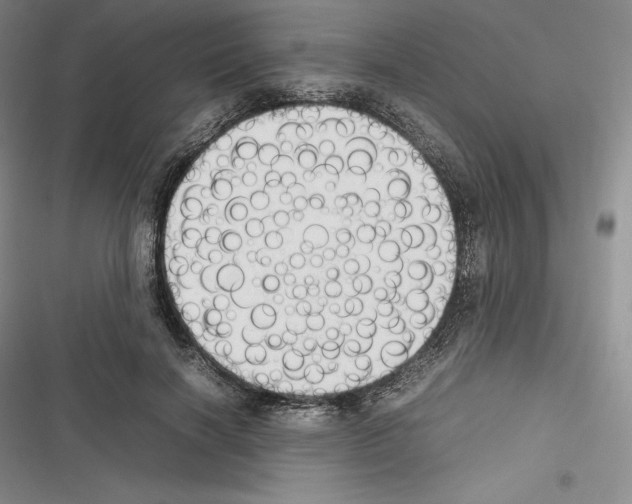 X0000116270646201001111015