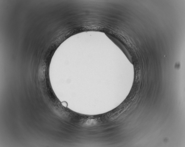 X0000116270647201001111015