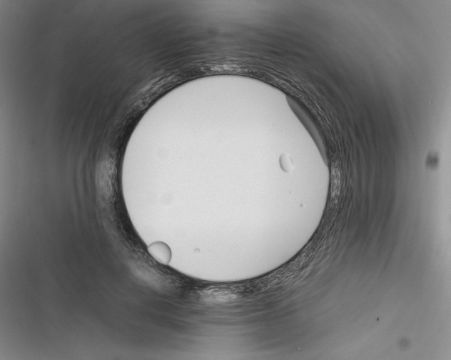 X0000116270648201001111015