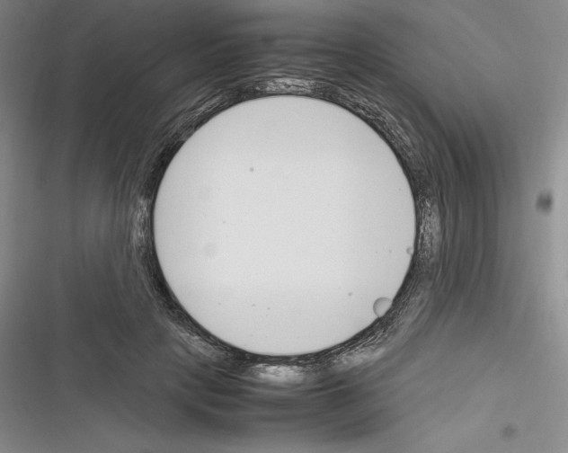 X0000116270649201001111015