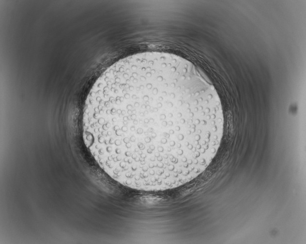 X0000116270650201001111015